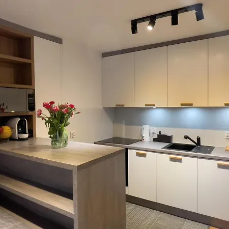 Apartment Urban Dluga 40 No 11, Free Public Parking, Self Check-in Chorzow