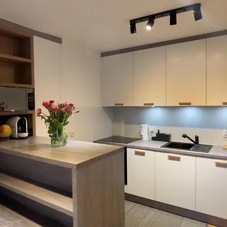 Apartment Urban Dluga 40 No 11, Free Public Parking, Self Check-in Chorzow