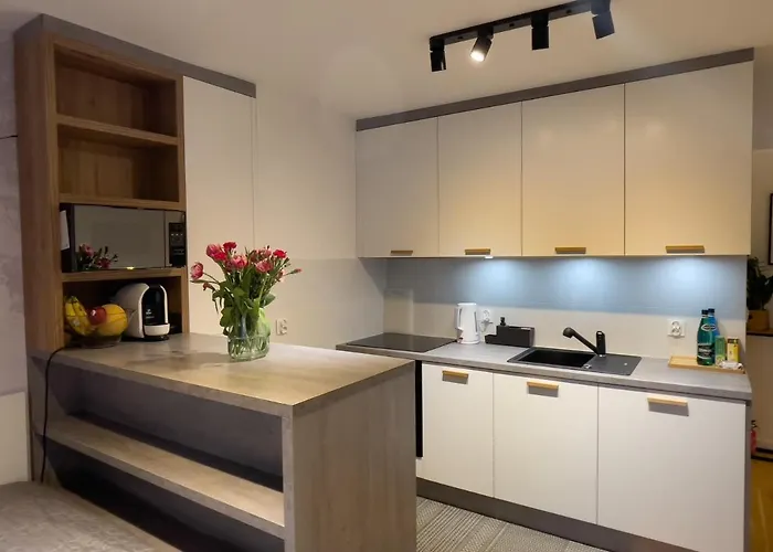 Apartamento Urban Dluga 40 No 11, Free Public Parking, Self Check-in Chorzów